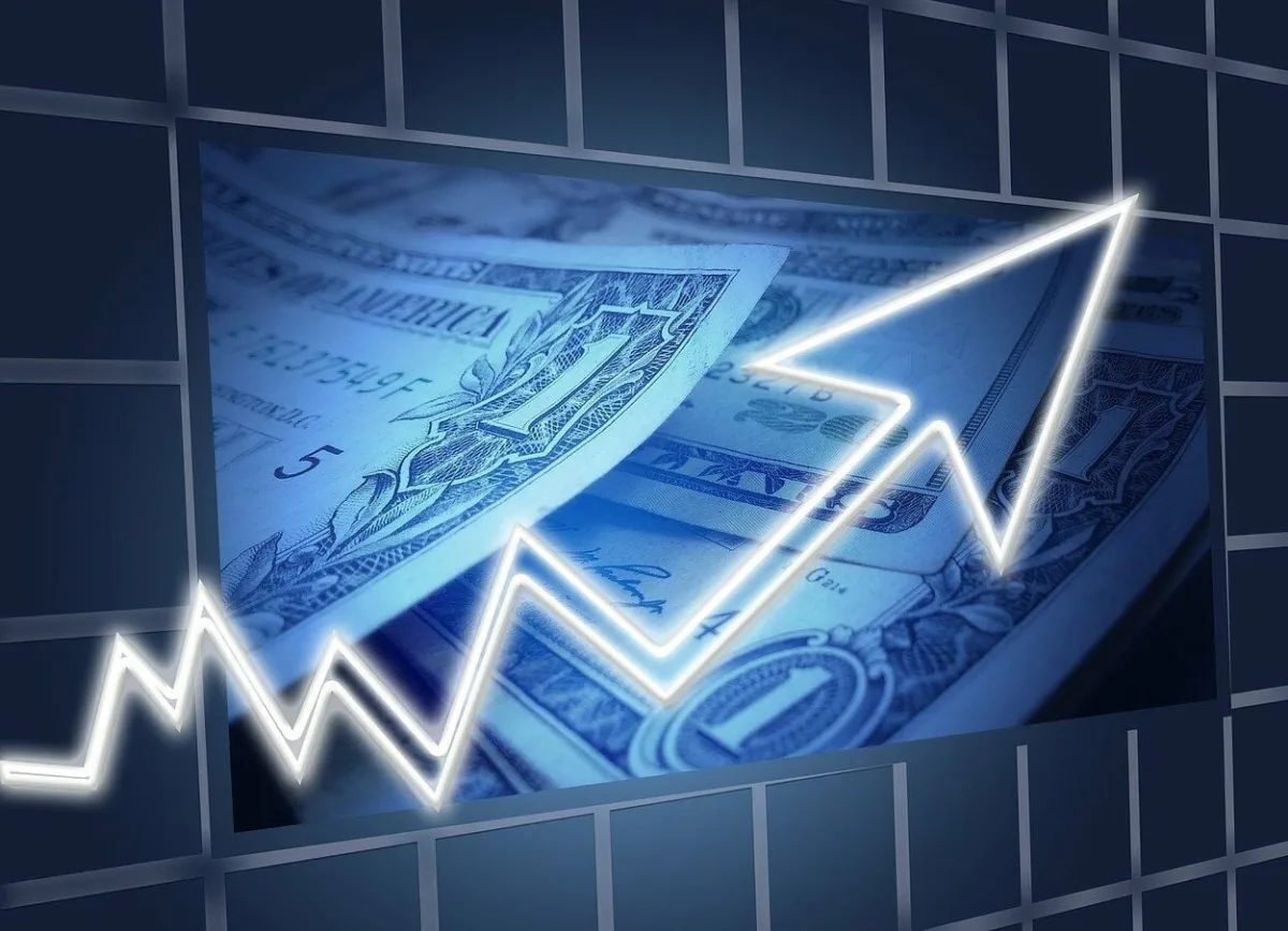 SNFF11 tem lucro 12,2% maior e paga dividendos de 1,47% ao mês; veja valor