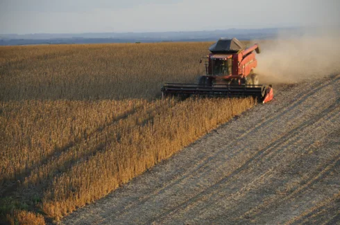 Exportações de soja avançam em julho e reforçam cenário positivo para agro; veja impacto no SNAG11