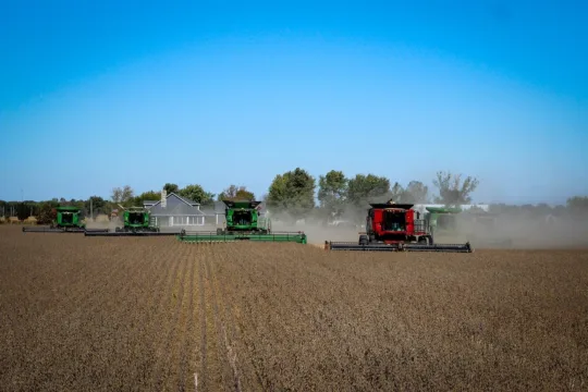 Mato Grosso bate recorde com safra de 51,5 mi de toneladas de soja e impulsiona SNFZ11