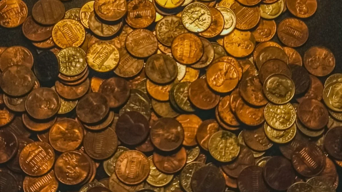 RBRL11 já divulgou quanto vai pagar de dividendos. Foto: Unsplash