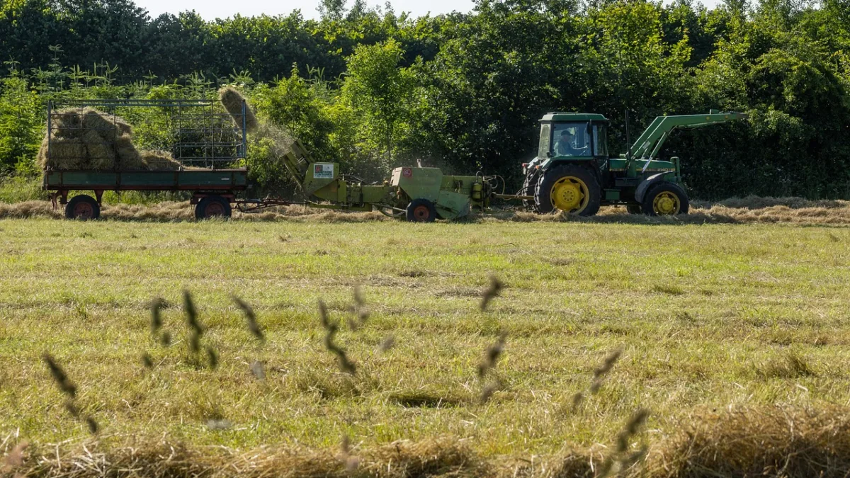 FII de terras agrícolas puxou altas - Foto: Pixabay
