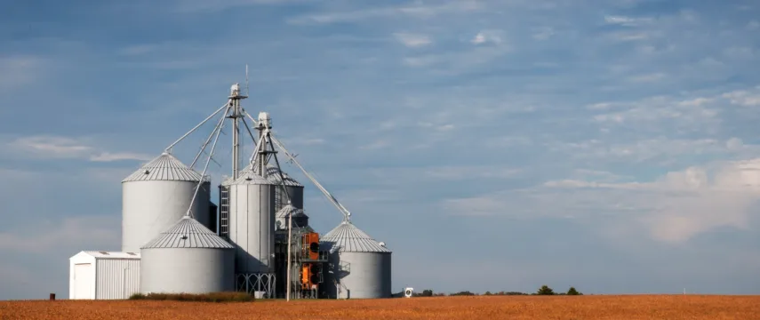 Bunge e Acelen avançam em biocombustíveis; o que isso significa para SNFZ11?
