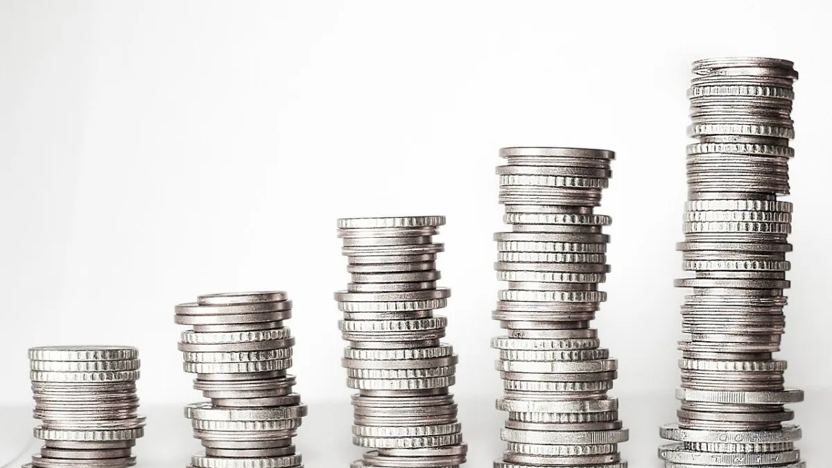 KNSC11 anuncia lucro de R$ 18 milhões; veja o que influenciou no resultado. Foto: Pixabay