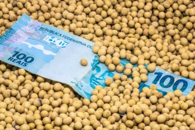 Fiagro da Sparta divulga dividendos com yield de 1,22%; confira valor