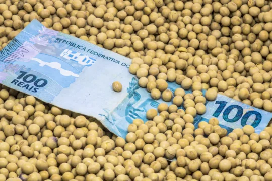 SNFZ11 tem ativos em Mato Grosso, líder na exportação de soja e milho no 1S26