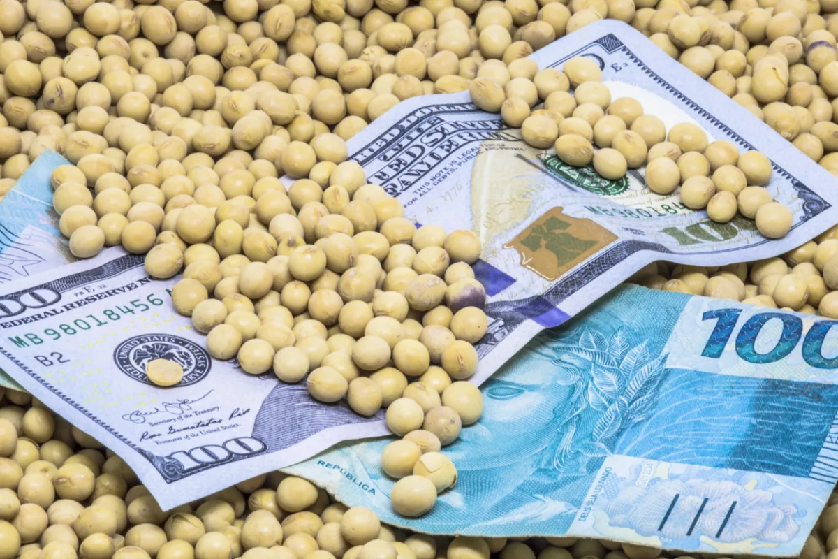 RZAG11: Fiagro paga dividendos de 1,35% ao mês e receitas superam R$ 10,6 milhões