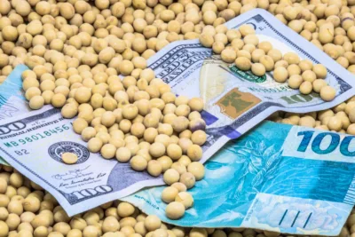 KNCA11: fiagro lucra mais de R$ 20 milhões e dividendos rendem quase 1%