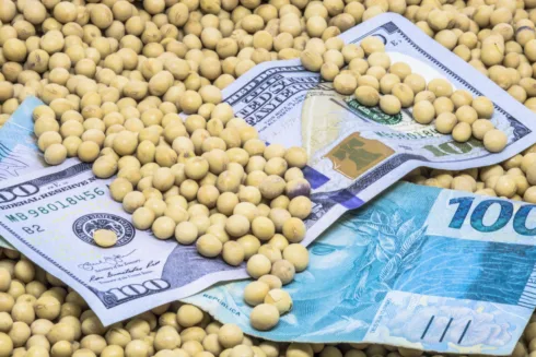Fiagro AAZQ11. Foto: iStock