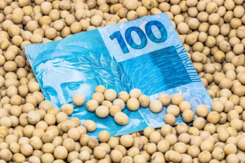 BTAL11: Fiagro lucra R$ 4,7 milhões e pagará dividendos de 13,47% ao ano