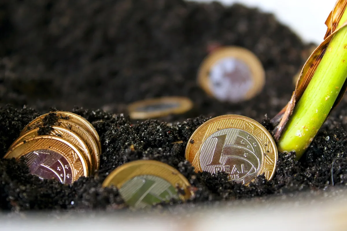 VGIA11: Fiagro já divulgou novos dividendos para abril; confira valor