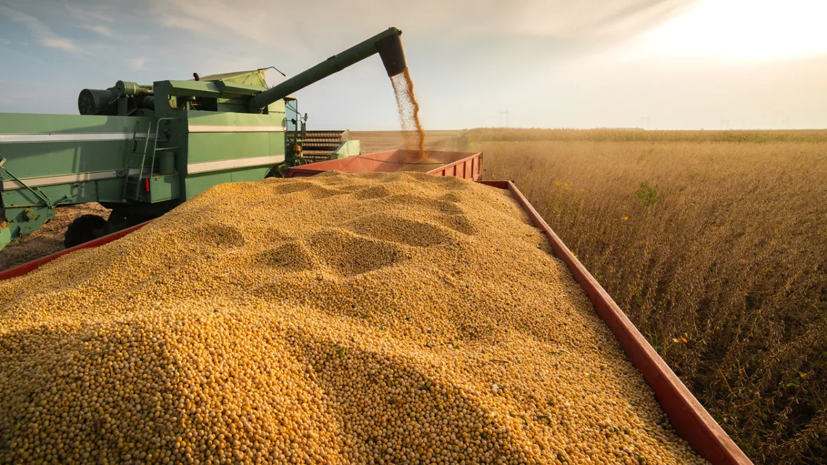 KNCA11: Fiagro tem salto de 40,47% em seu lucro e anuncia investimento milionário. Foto: iStock