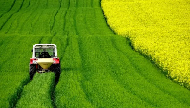 XPCA11: Fiagro paga dividendos de 17,4% ao ano e atualiza carteira; veja valores
