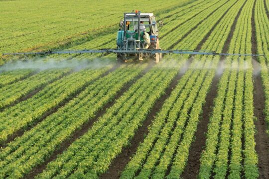 SNFZ11 impulsiona receitas e dividendos com aumento da produtividade da fazenda