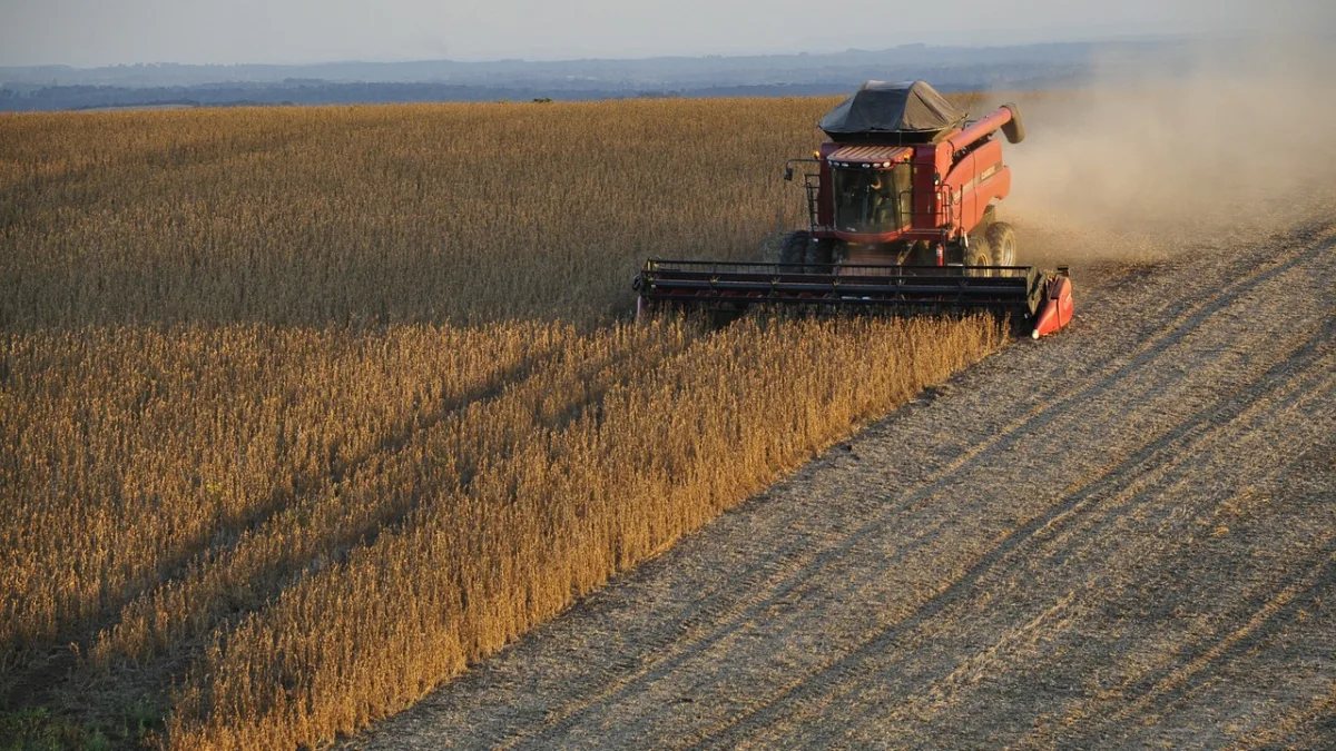 RURA11: Fiagro entrega dividendos de 14,8% ao ano e tem lucro de R$ 15,8 milhões