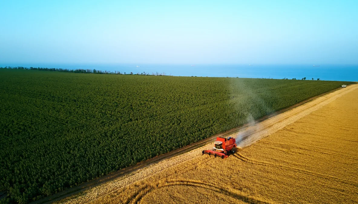 Fundo imobiliário de terras agrícolas lidera altas - Foto: iStock