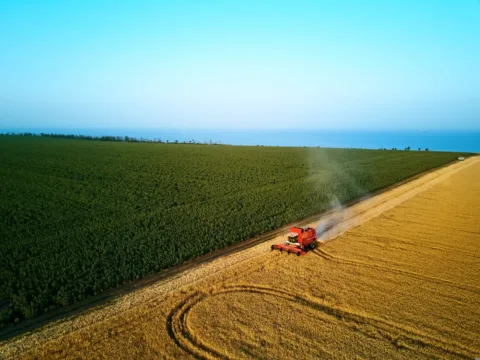 Fiagros da AZ Quest mantêm carteira próxima de CDI + 3% e focam em diversificação
