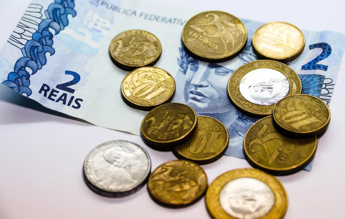 SNFZ11 anuncia dividendos com yield de 1,08%; veja detalhe