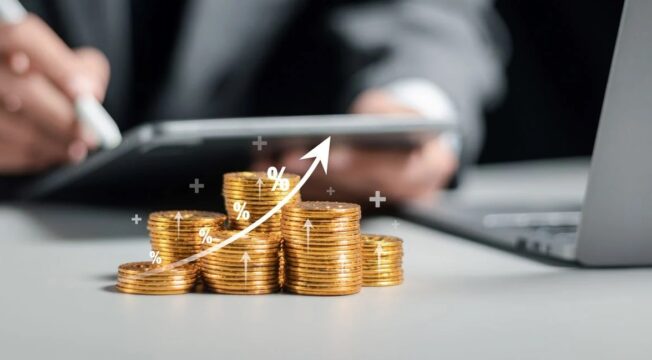 SNAG11: Fiagro anuncia dividendos com retorno de 12,29% ao ano