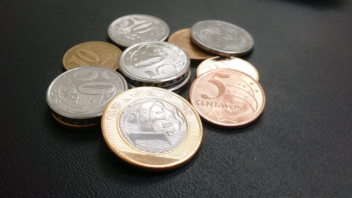 SNEL11 paragá novos dividendos com yield de 1,20%; veja valor e quem recebe