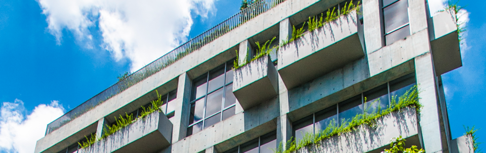 RCRB11 reduz dividendos e projeta alternativas para calote da WeWork 