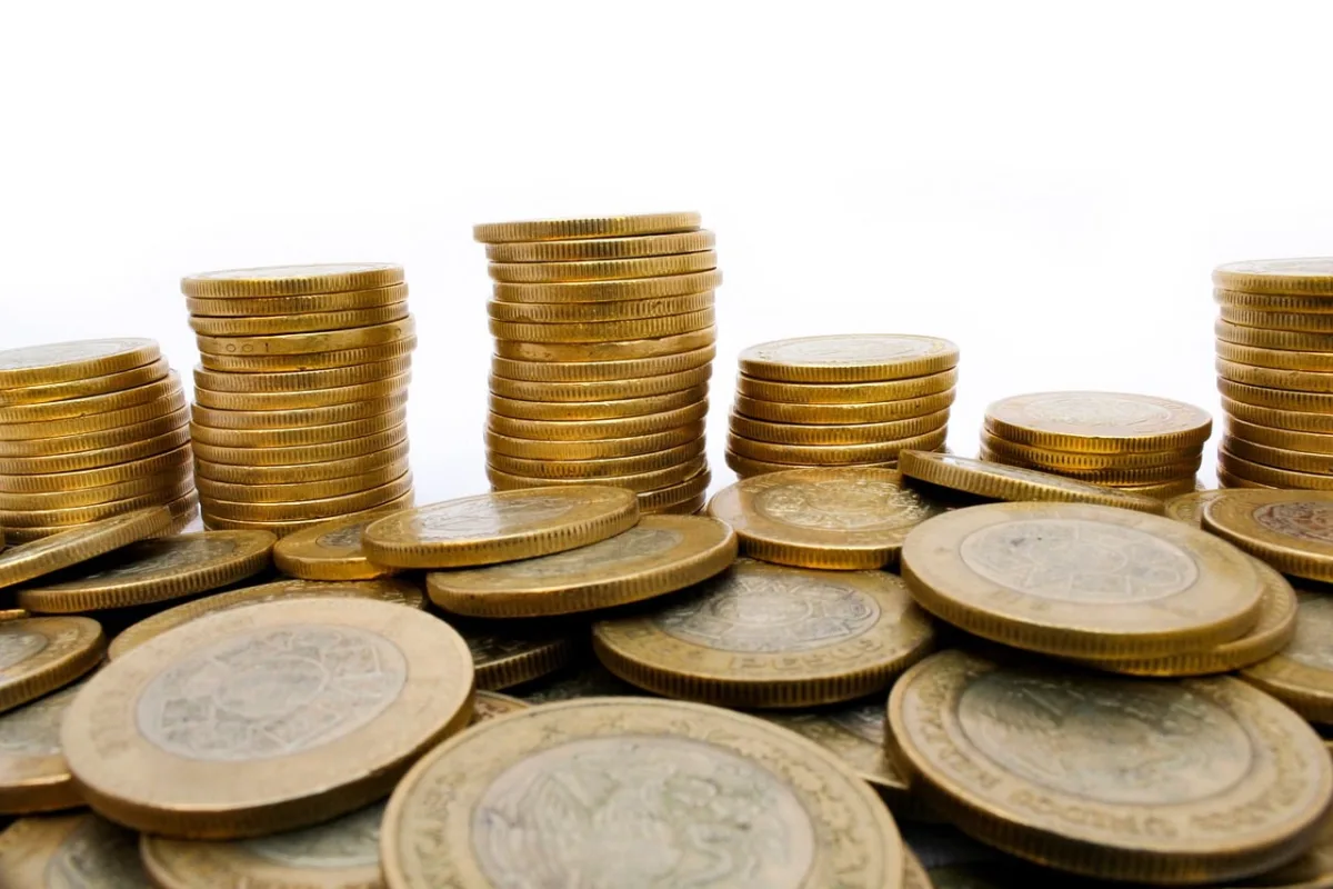 Os dividendos do RECT11 já foram divulgados, com retorno de 1,12% ao mês; saiba quanto