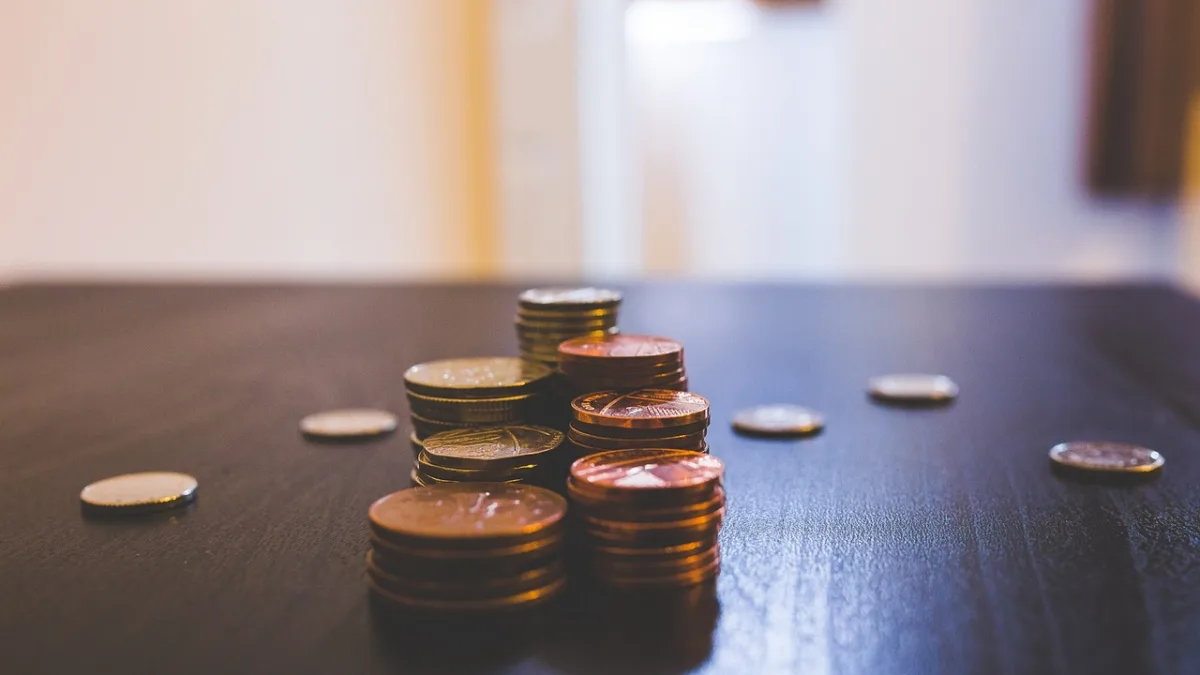 SNAG11: Fiagro anuncia dividendos com retorno de 12,67% ao ano. Foto: Pixabay