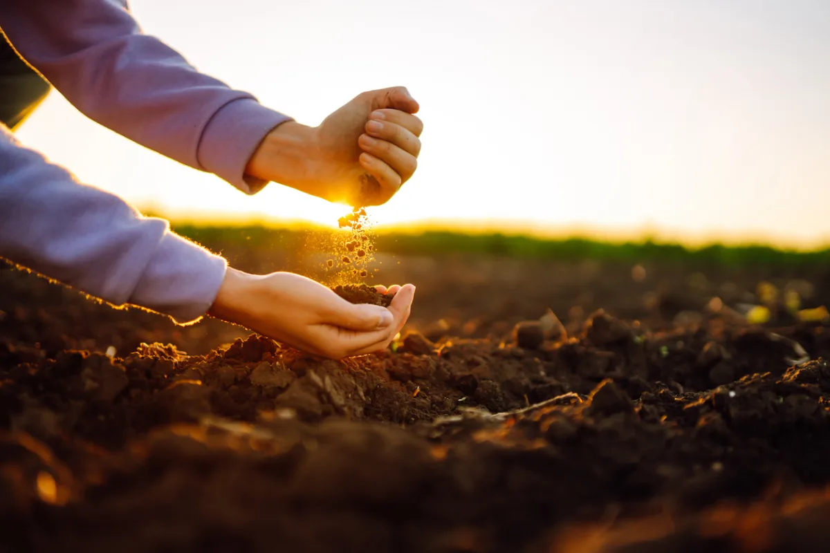 SNAG11 alcança máxima histórica em meio a ciclo de otimismo do agro