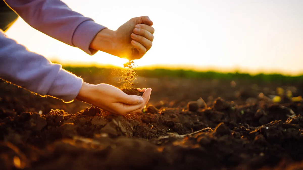 SNAG11 registra alta na liquidez - Foto: iStock