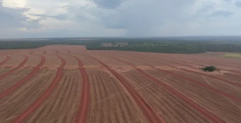 SNFZ11 Fazenda Coliseu