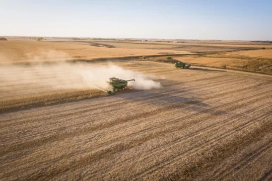 Mato Grosso vira peça-chave da China no agro — veja como isso passa pelas fazendas do SNFZ11