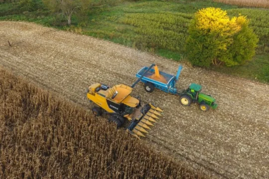 Biodiesel e exportações elevam soja e reforçam fundamentos do SNFZ11