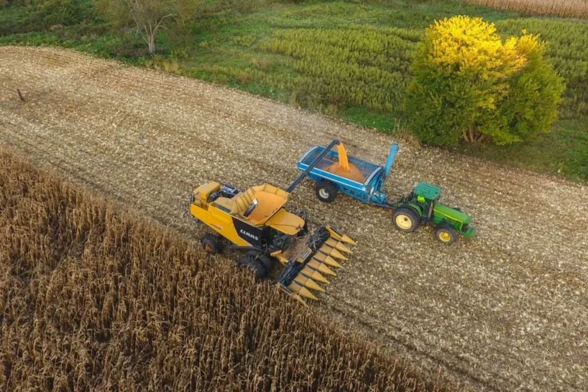Biodiesel e exportações elevam soja e reforçam fundamentos do SNFZ11