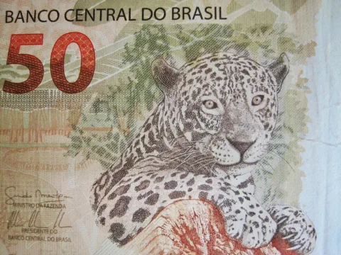 PCIP11 e outros quatro FIIs pagam dividendos hoje; veja valores