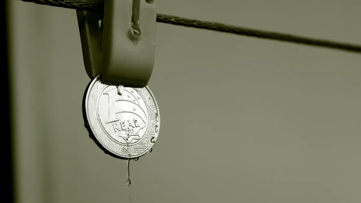 CPTS11, VGIR11 e outros FIIs pagam dividendos hoje - Foto: Pixabay