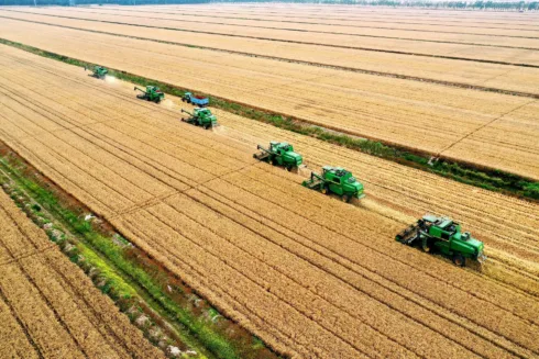 Agro brasileiro. Foto: Pixabay
