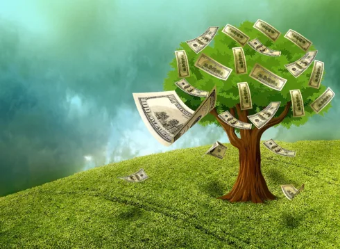 Nova safra ganha ritmo e coloca crédito do agro no radar do SNAG11