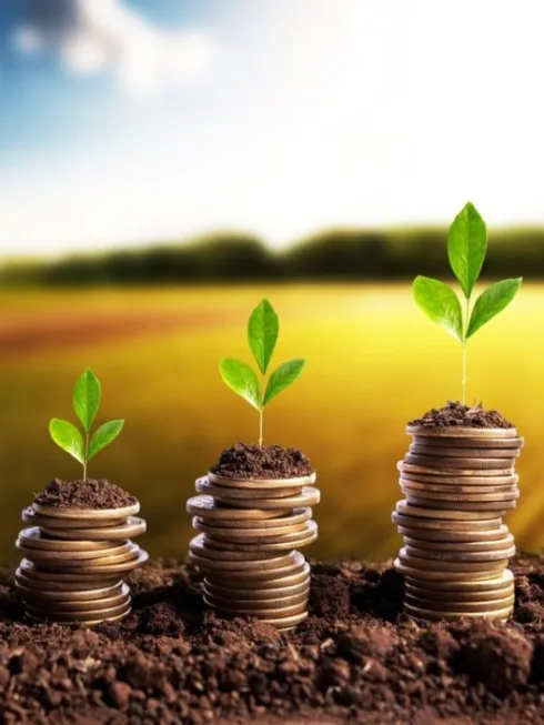 RZAG11: Fiagro paga dividendos de 1,27% ao mês