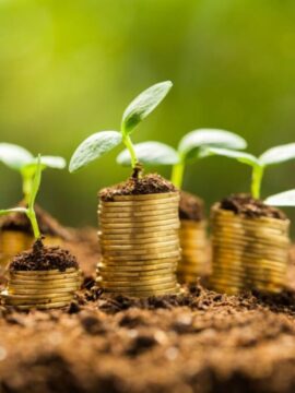 SNME11: fundo imobiliário eleva dividendos em 6,38%. Foto: iStock