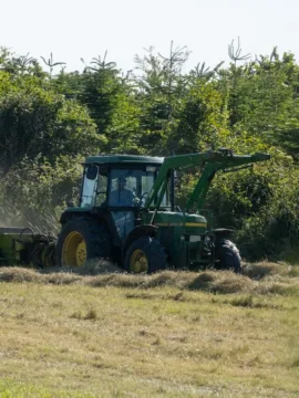 Brasil vai produzir mais de 34 mi de ton de carne — e isso pode mexer com milho, soja e SNAG11