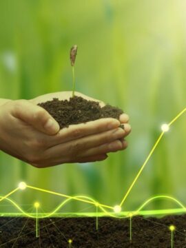 AAZQ11: com dividend yield de 17,69%, Fiagro divulga dividendos; veja o valor