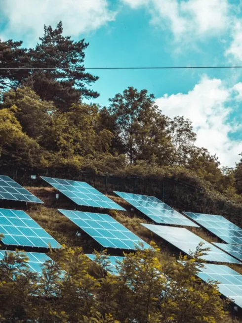Energia renovável Solar (SNEL11). Foto: Unsplash