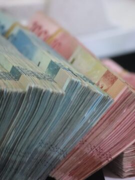 SNFF11 distribui dividendos nesta sexta (23); saiba quem tem direito
