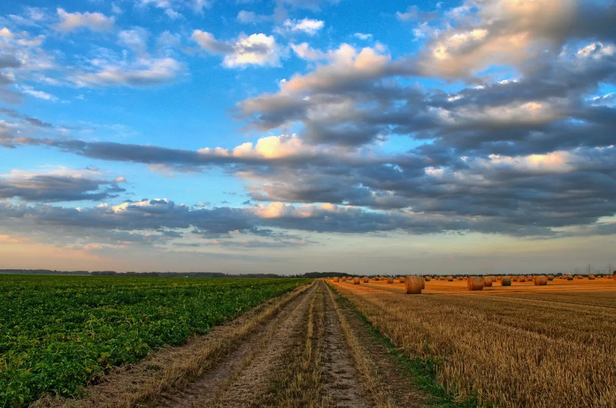 Força da soja leva agro a alta de 6,8%; veja como o cenário conversa com o SNAG11