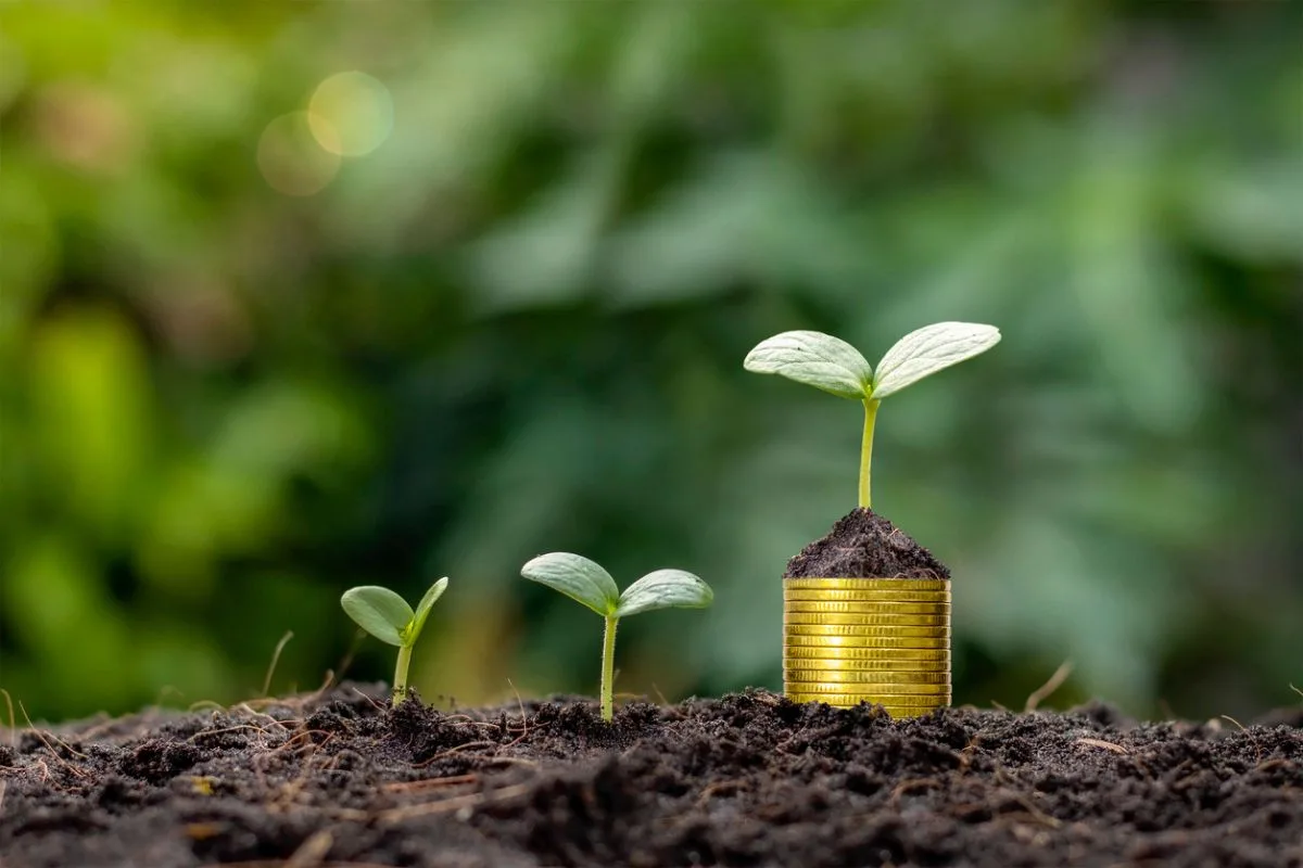 SNAG11 divulga novos dividendos. Foto: iStock