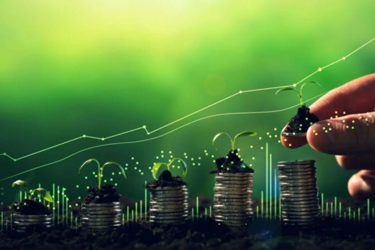 BTRA11: Fiagro anuncia dividendos com retorno de 1,50% ao mês; saiba quanto