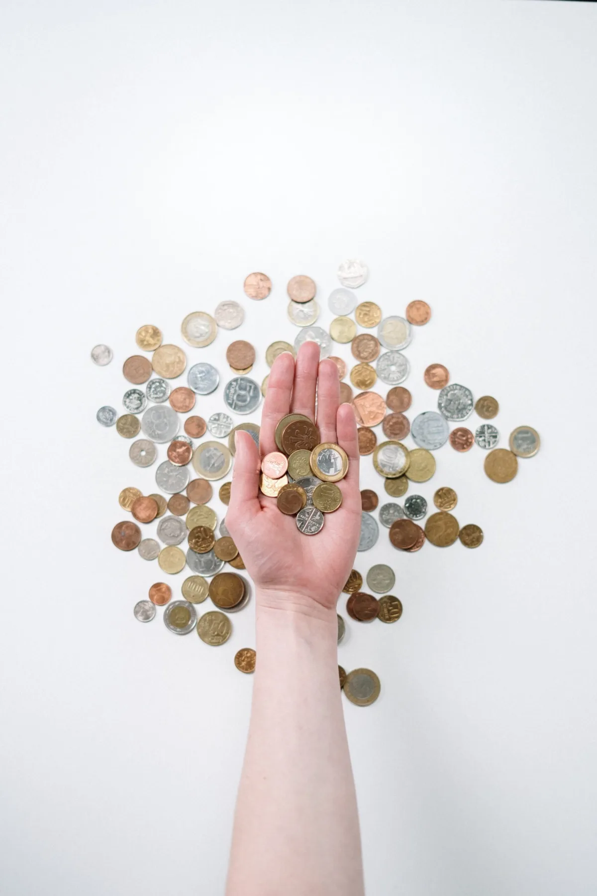 RBVA11 tem queda no lucro em agosto e projeta reciclagem do portfólio