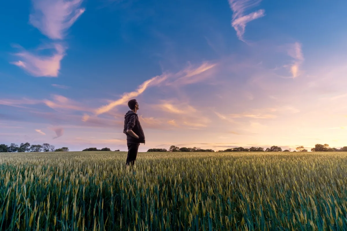 AAZQ11 entrega yield de 15,6% ao ano e amplia apostas no crédito do agro