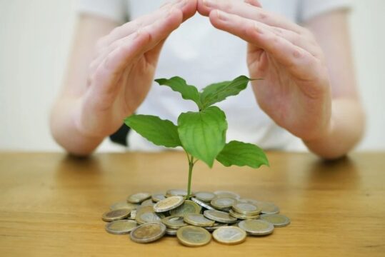 VGHF11, RURA11 e mais 75 FIIs e Fiagros pagam dividendos na semana; veja a lista