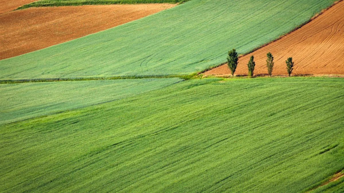 Fiagro: último dia para participar da oferta do fundo da 051 Capital