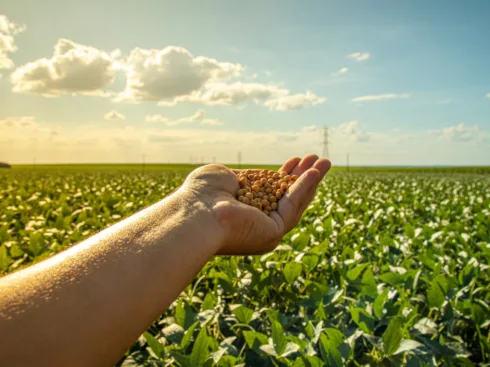Fiagros são opção de renda mensal para quem deseja investir no agronegócio 
